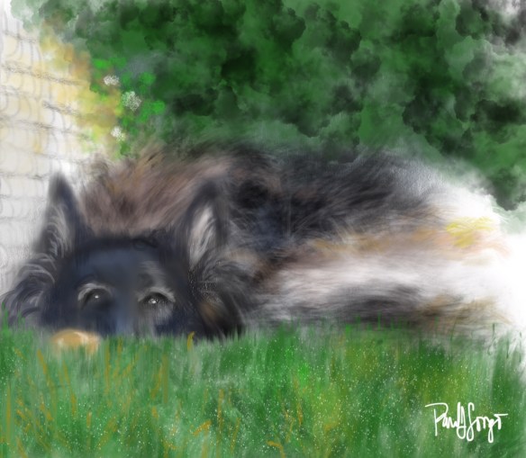 cowboyinthegrasswithball